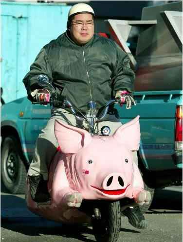 pig_bike